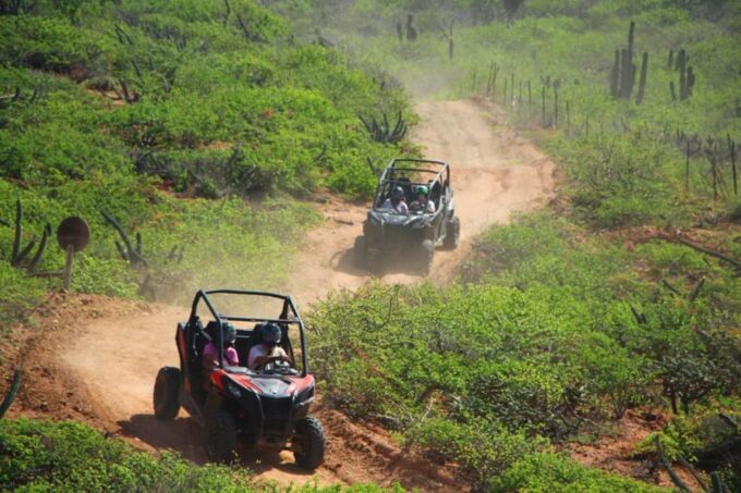 Los Cabos: Luxury UTV Viper Trail - Emphasis on Agility and Reliability