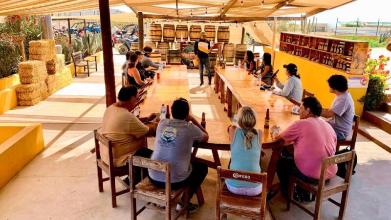 Los Cabos Margaritas Beach in Atv/Utv Desert Tour - Tour Overview