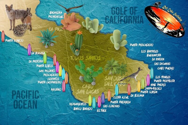 Los Cabos Mexico: Surfboard Rentals - Packages and Pricing