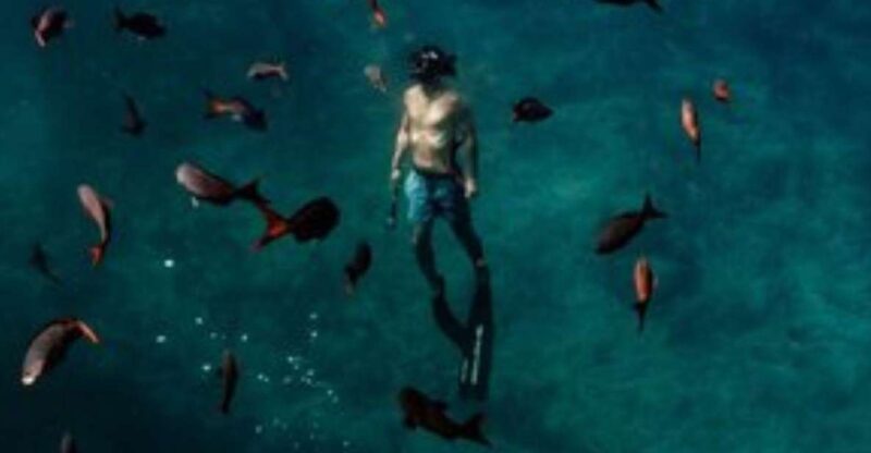 Los Cabos: Mobula and Sea Lion Combo Tour - Key Points