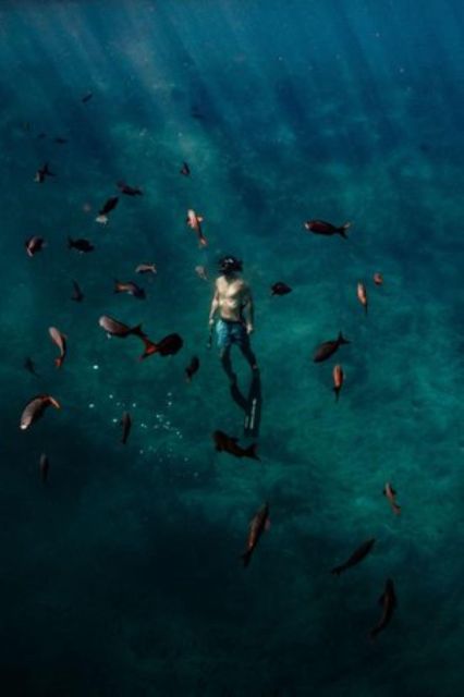 Los Cabos: Mobula and Sea Lion Combo Tour - Itinerary