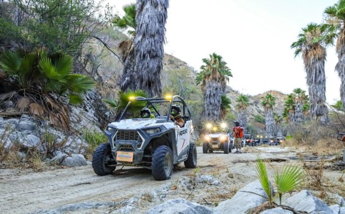 Los Cabos: Moon Zipping Fire (Utv Ride & Night Ziplines) - Zipline Details