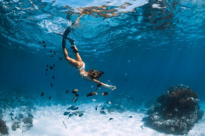 Los Cabos Power snorkel Adventure, Kayaking and Stand-Up Paddle - The Cost and What You Get