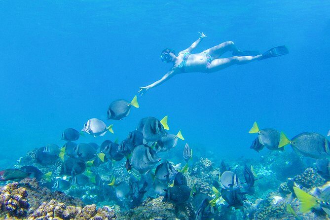 Los Cabos Power snorkel Adventure, Kayaking and Stand-Up Paddle - Who Should Book This Tour?