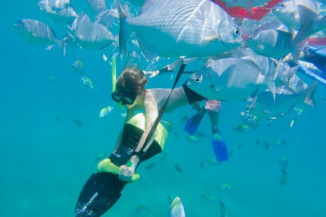 Los Cabos Power snorkel Adventure, Kayaking and Stand-Up Paddle - The Sum Up