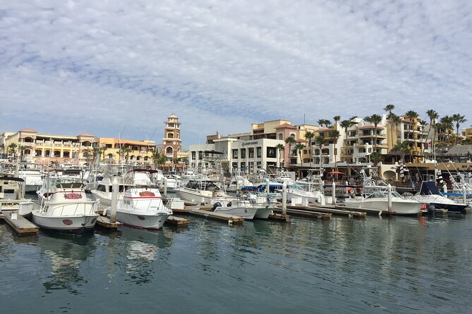 Los Cabos Private Chauffeur Service - Customer Reviews and Feedback