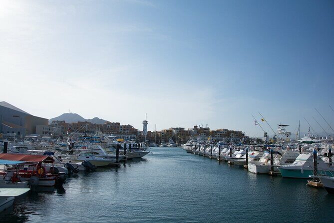 Los Cabos Private City Tour with Guide - Exploring the Glass Factory