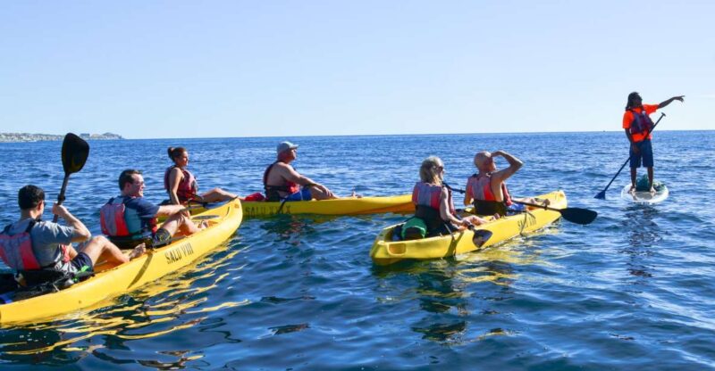 Los Cabos: Private Kayaking and Snorkeling Tour at the Arch - Key Points