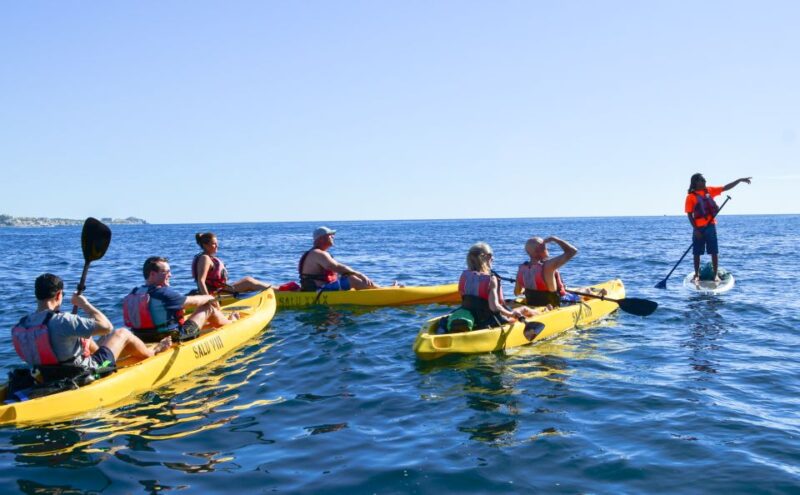 Los Cabos: Private Kayaking and Snorkeling Tour at the Arch - Itinerary and Experience