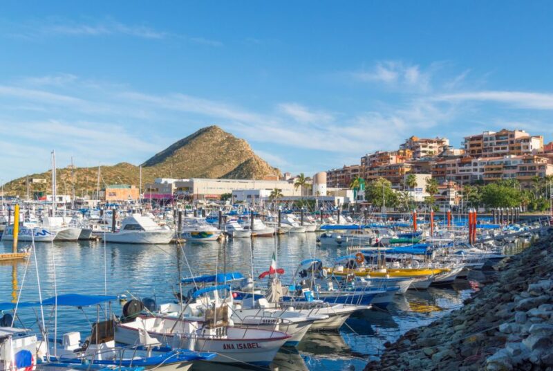 Los Cabos: Reef Snorkeling Cruise With Lunch and Open Bar - Inclusions and Amenities