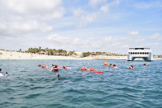 Los Cabos Reef Snorkeling Cruise With Lunch and Open Bar - Safety and Restrictions