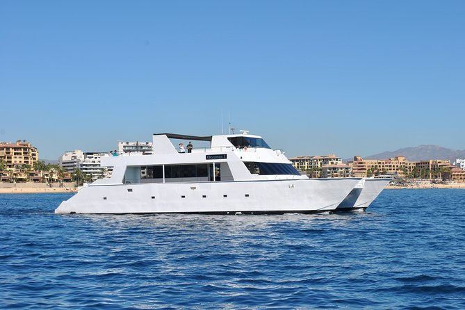 Los Cabos Reef Snorkeling Cruise With Lunch and Open Bar - Reviews and Feedback