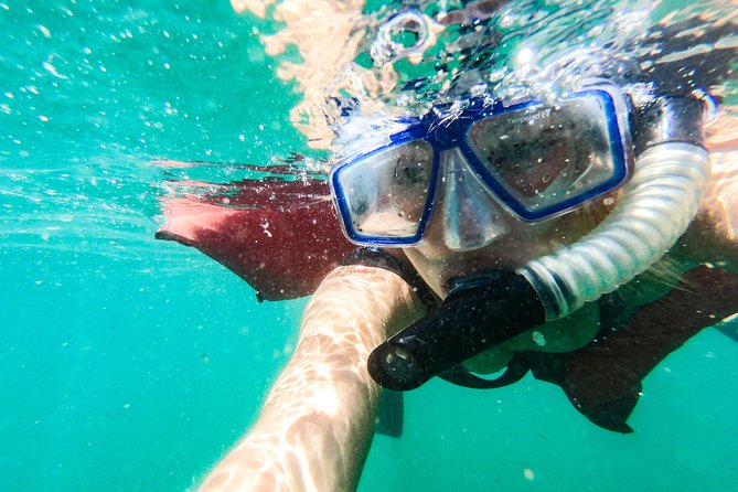 Los Cabos Reef Snorkeling Cruise With Lunch and Open Bar - Booking and Cancellation Policies