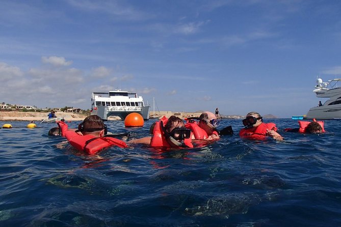 Los Cabos Reef Snorkeling Cruise With Lunch and Open Bar - Stunning Scenery and Marine Life