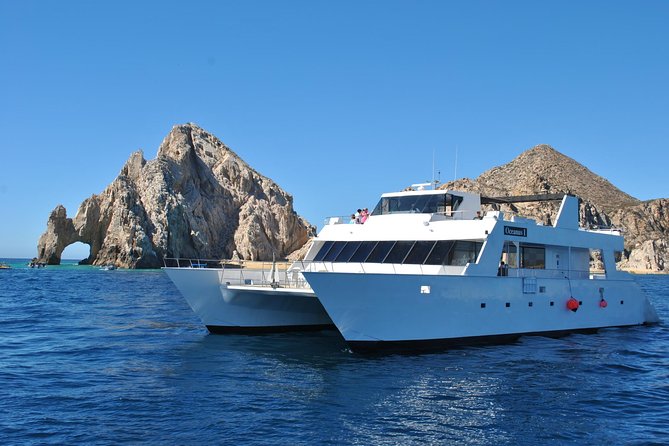 Los Cabos Reef Snorkeling Cruise With Lunch and Open Bar - Lunch and Open Bar Experience