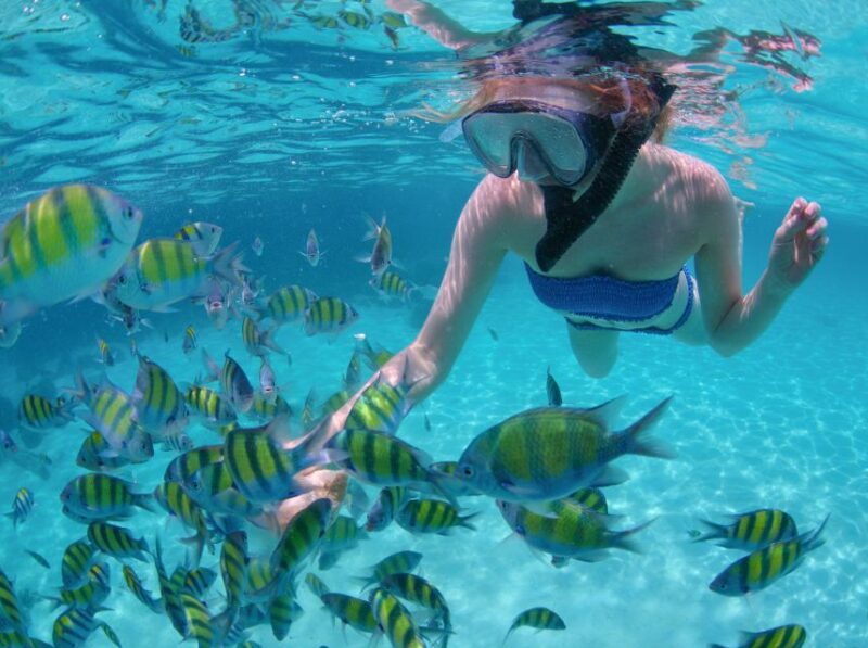 Los Cabos: Sailing Cruise With Snorkeling and Lunch - Pricing and Packages