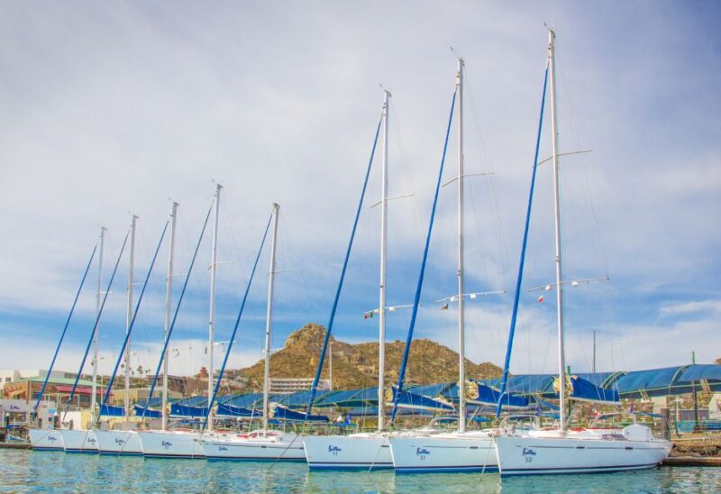 Los Cabos: Sailing Cruise With Snorkeling and Lunch - Participant Requirements