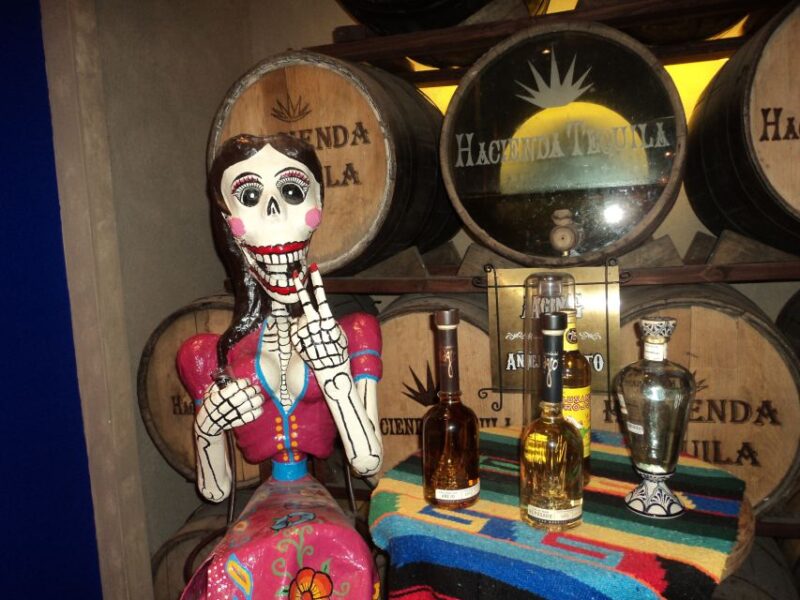 Los Cabos: San Jose and San Lucas Trip With Lunch - Itinerary Highlights