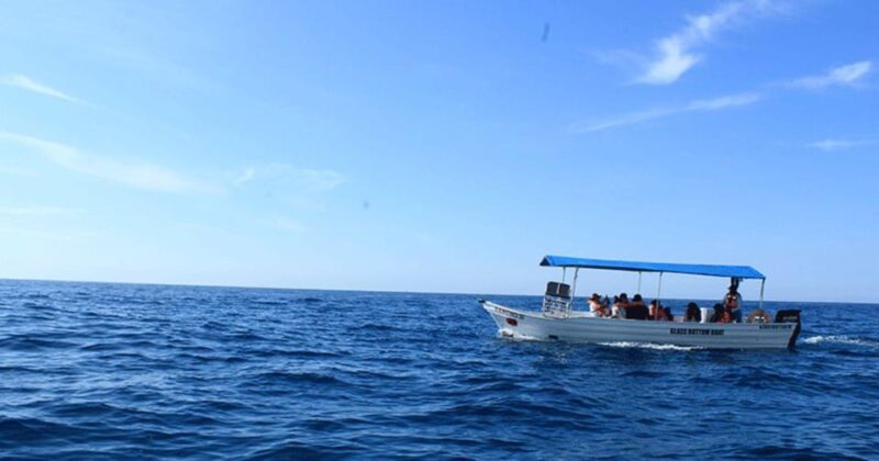 Los Cabos: Scenic Boat Ride Experience - Key Points
