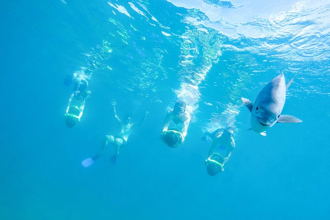 Los Cabos Sea Adventure, Snorkeling, Kayaking and Stand-Up Paddle - Pickup and Transportation