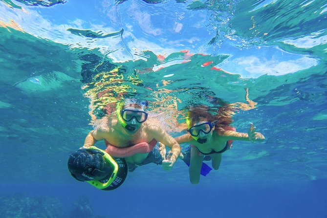 Los Cabos Sea Adventure, Snorkeling, Kayaking and Stand-Up Paddle - Notable Sights