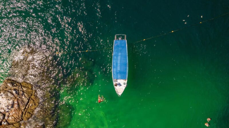 Los Cabos: Snorkel and Marine Life - Meeting Point and Availability