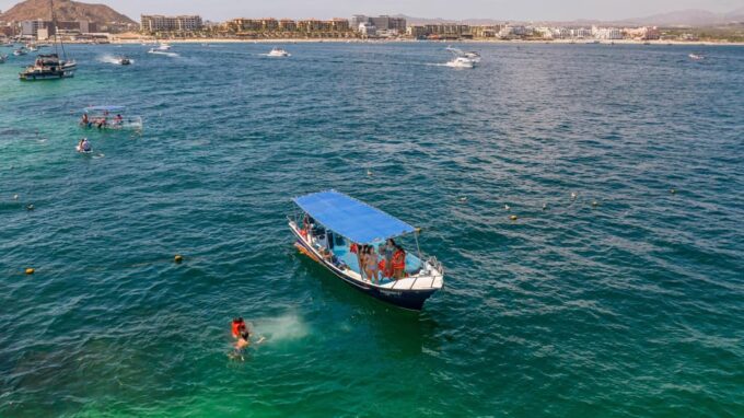 Los Cabos: Snorkel and Marine Life - Frequently Asked Questions