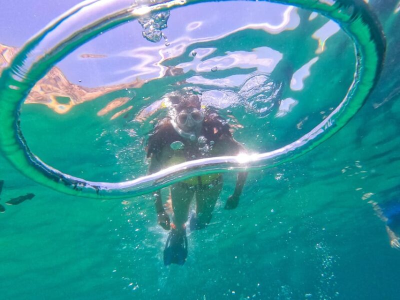 Los Cabos: Snorkel & Beach Day at Chileno + Transportation - Key Points