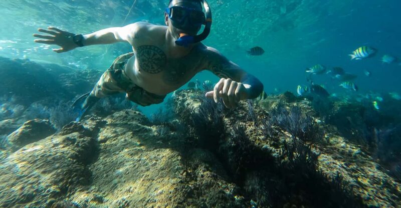 Los Cabos: Snorkel & Beach Day at Chileno + Transportation - Snorkeling and Beach Experience