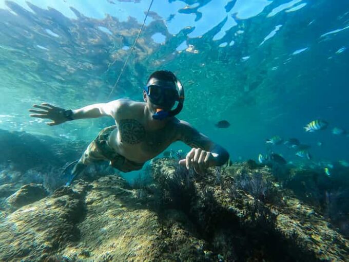 Los Cabos: Snorkel & Beach Day at Chileno + Transportation - Health and Safety Considerations