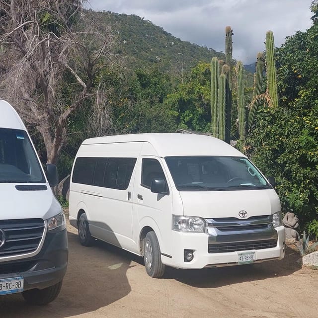 Los Cabos: Snorkeling Cruise and Sunset Beach Tour - Experience Highlights