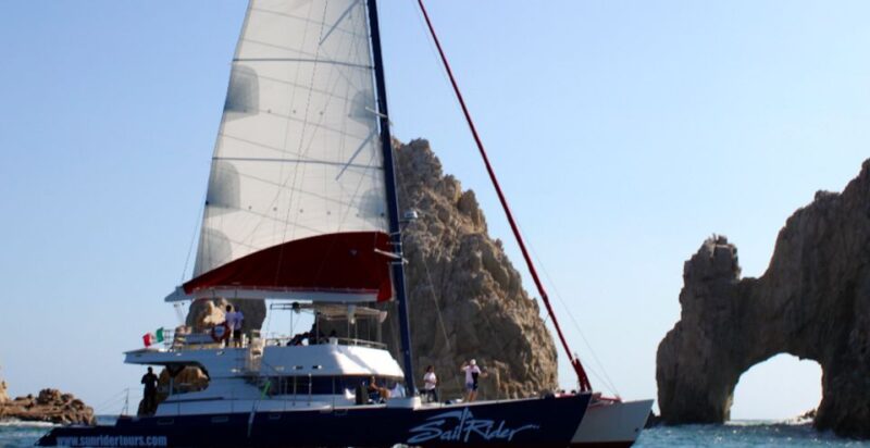 Los Cabos: Snorkeling Discovery Cruise With Lunch or Dinner - Experience Highlights