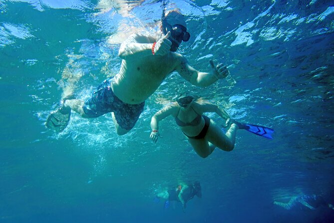 Los Cabos Snorkeling Tour by Speed Boat With Photos Included - Meeting and End Points