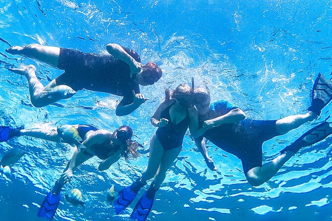 Los Cabos Snorkeling Tour by Speed Boat With Photos Included - Customer Reviews and Experiences