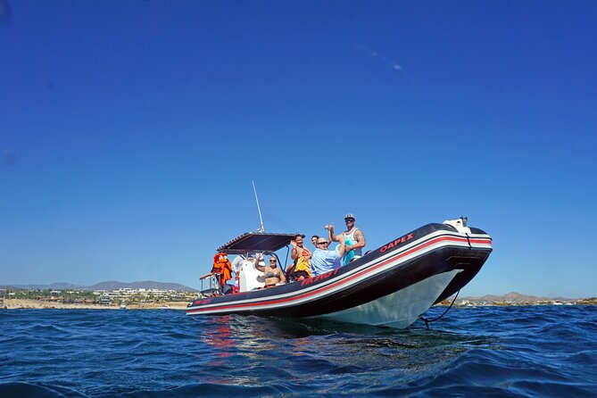 Los Cabos Snorkeling Tour by Speed Boat With Photos Included - Snorkeling Spots and Marine Life