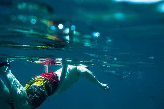 Los Cabos Snorkeling Tour to Chileno Bay and Santa Maria Cove - Chileno Bay