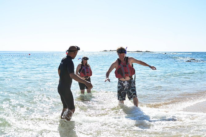 Los Cabos Snorkeling Tour to Chileno Bay and Santa Maria Cove - Tour Schedule