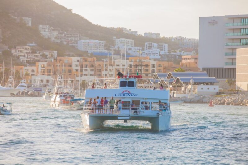 Los Cabos: Sunset Dinner Cruise With Transportation - Music and Atmosphere