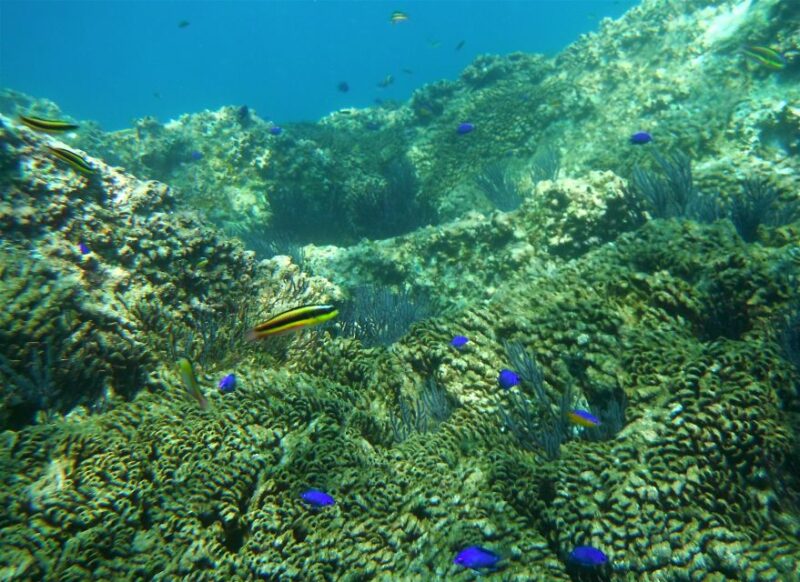 Los Cabos: The Arch and Lovers Beach Kayaking + Snorkeling - Participant Restrictions