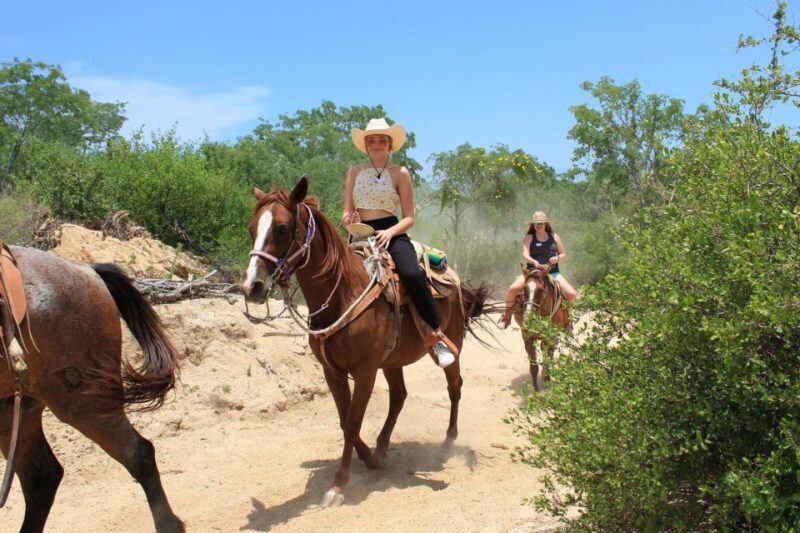 Los Cabos: The Great Fandango Horseback Riding Adventure - Participant Restrictions