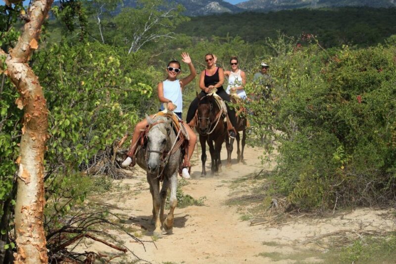 Los Cabos: The Great Fandango Horseback Riding Adventure - Customer Feedback
