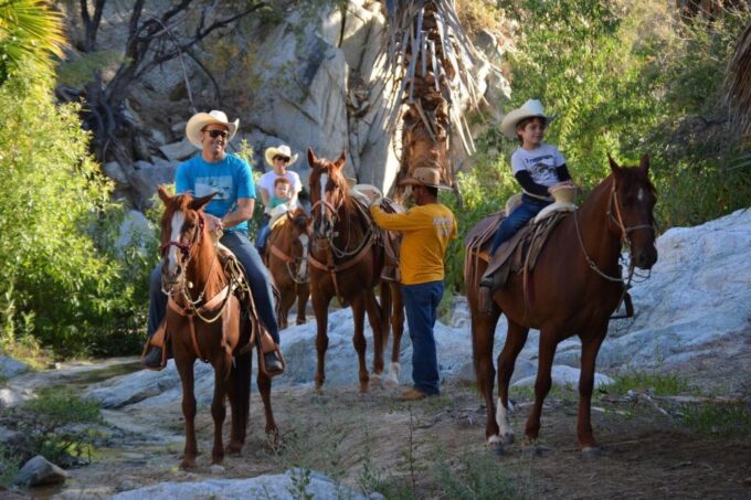 Los Cabos: The Great Fandango Horseback Riding Adventure - Picturesque Landscapes