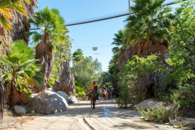 Los Cabos: The Great Fandango Horseback Riding Adventure - Taste of Local Cuisine
