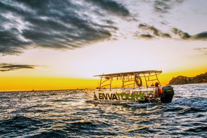 Los Cabos: The Original Glass Bottom Boat Cruise - Availability and Booking