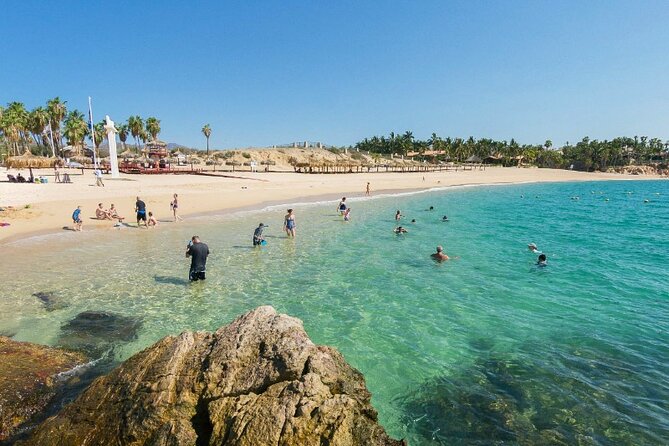 Los Cabos Tour From La Paz - Reviews and Feedback