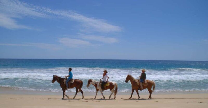 Los Cabos: Tranquil Horse Riding Experience - Key Points