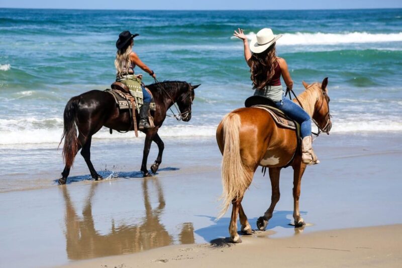 Los Cabos: Tranquil Horse Riding Experience - Connecting With Natures Wonders