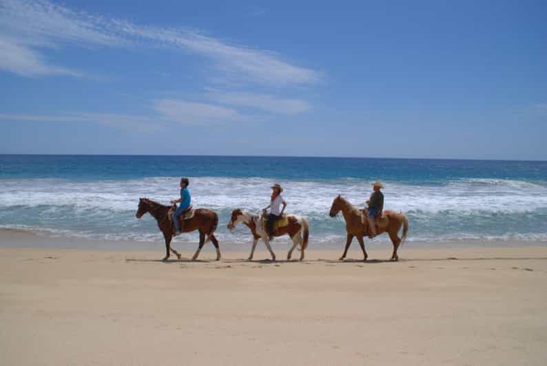 Los Cabos: Tranquil Horse Riding Experience - Bonding With Majestic Horses