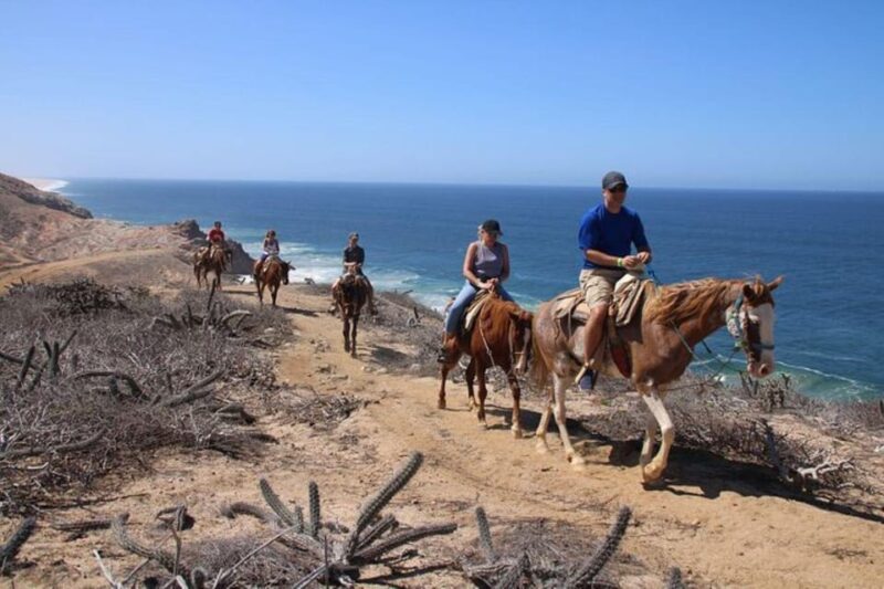 Los Cabos: Tranquil Horse Riding Experience - Knowledgeable Equestrian Experts Lead