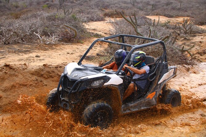 Los Cabos UTV Outdoor Experience to the Hidden Arch - Key Points